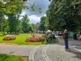 15_Bauernmarkt August 2021 15_Bauernmarkt August 2021