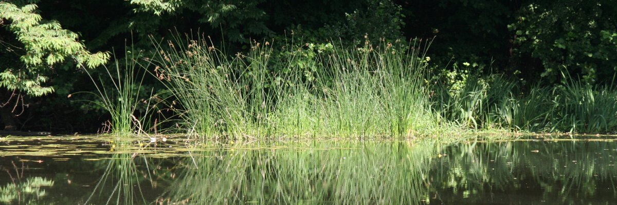 Foto Marktplatz Nidda