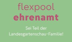 Grafik Flexpool Ehrenamt