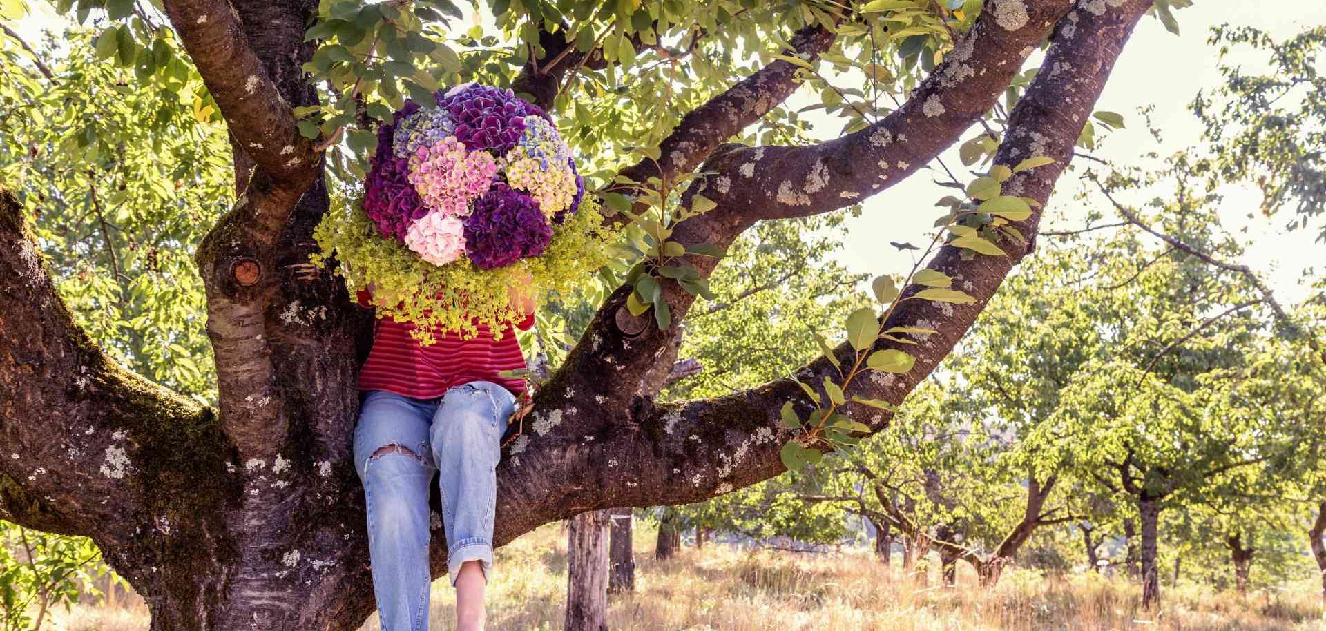 Foto Baum