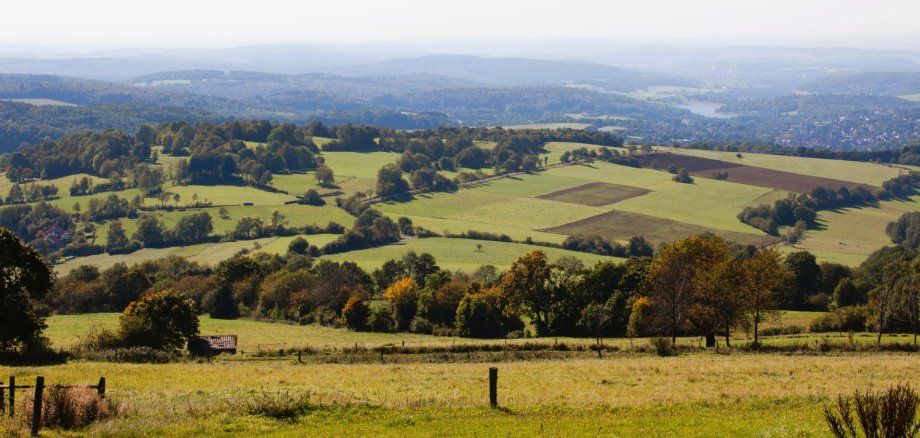 Foto Landschaft Oberhessen