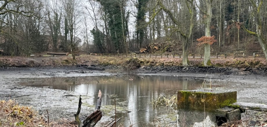 Foto Landgrafenteich vor der Sanierung