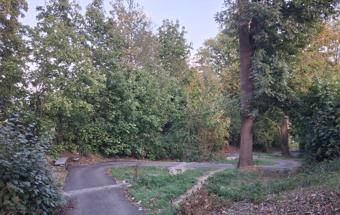 Foto Schlangenweg von oben