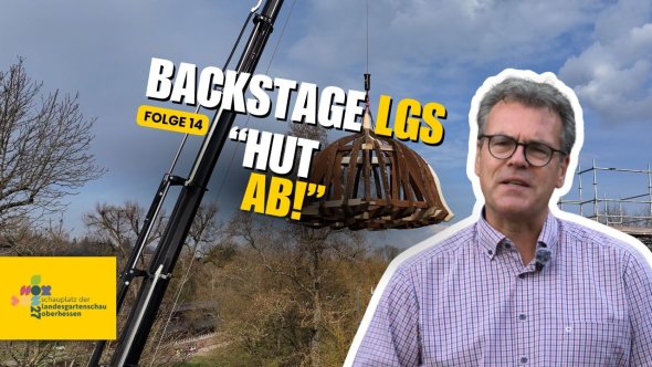 YouTube Titelbild - LGS Backstage - 14