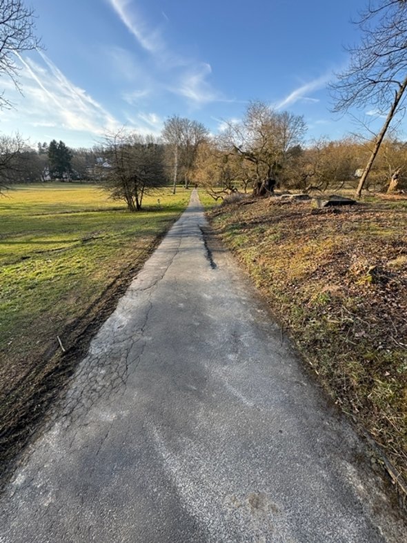 Foto Weg im Kurpark