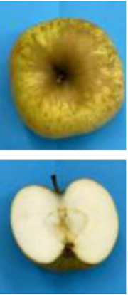 Foto Pistorius-Apfel