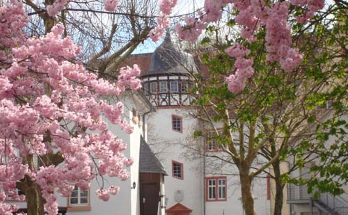 Leben in Nidda Nidda