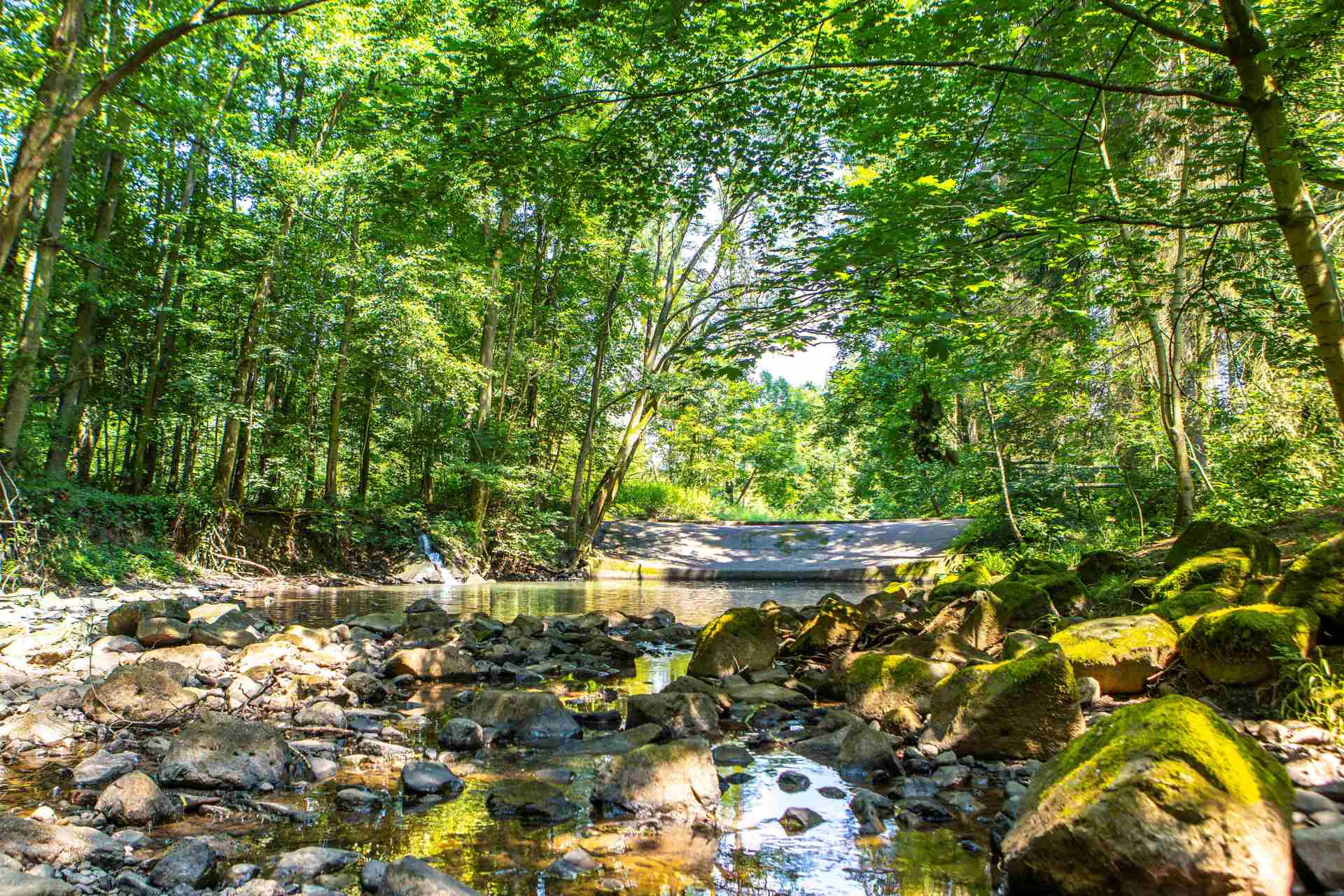 Foto Wehr in Ober-Schmitten