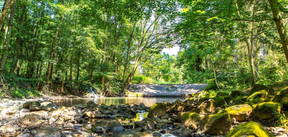 Foto Wehr in Ober-Schmitten