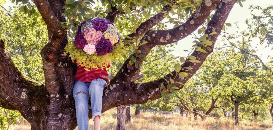 Foto Baum