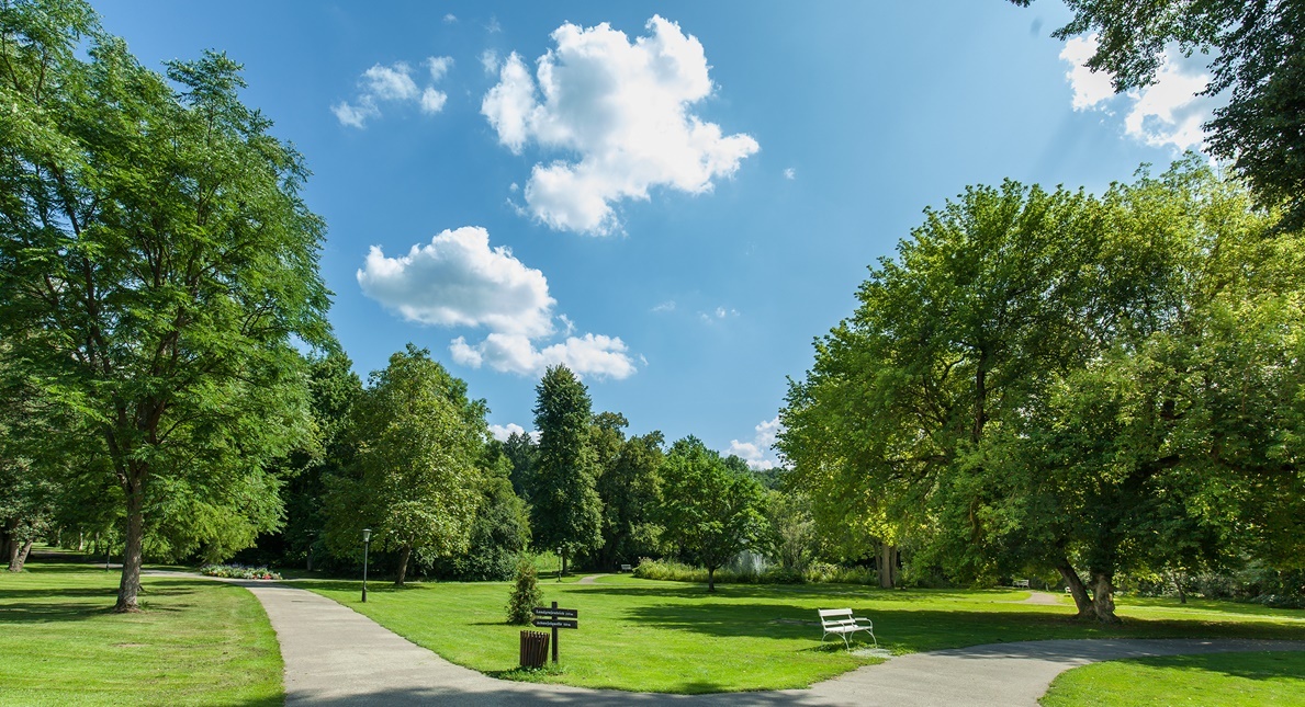 Foto Kurpark Bad Salzhausen