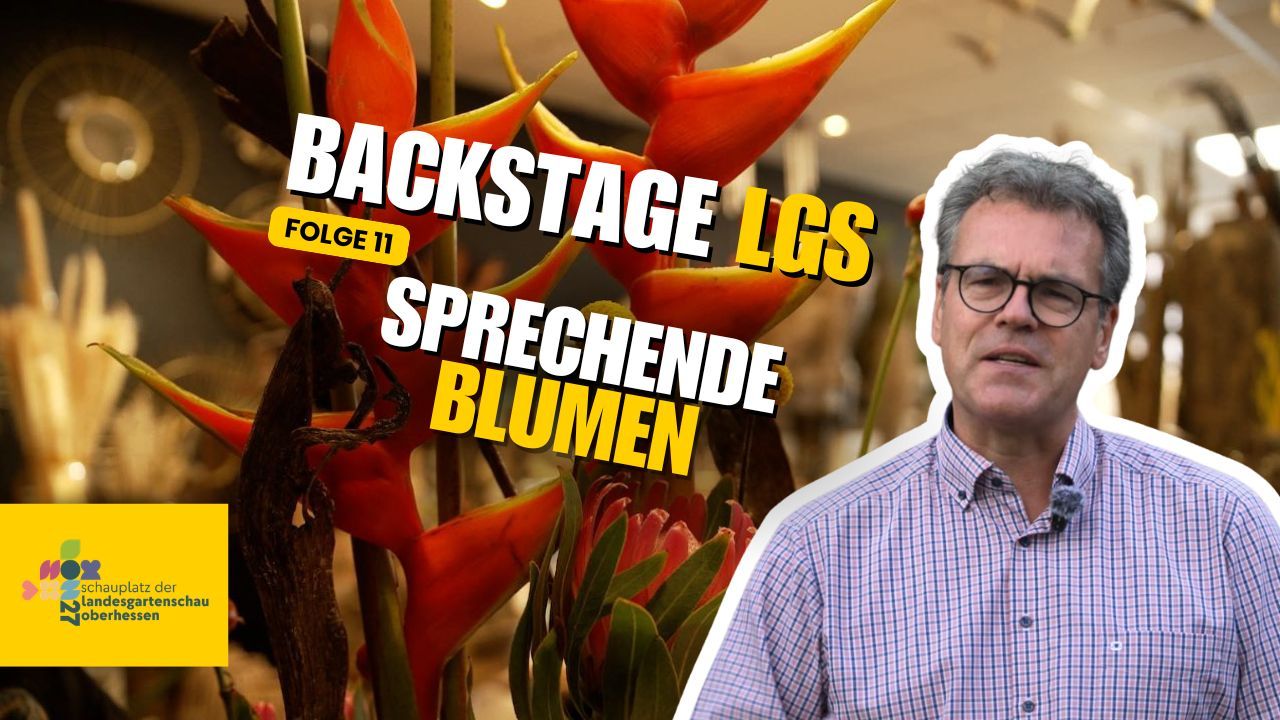 YouTube Titelbild - LGS Backstage - 11