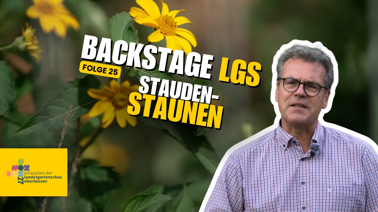 LGS Backstage Folge 25