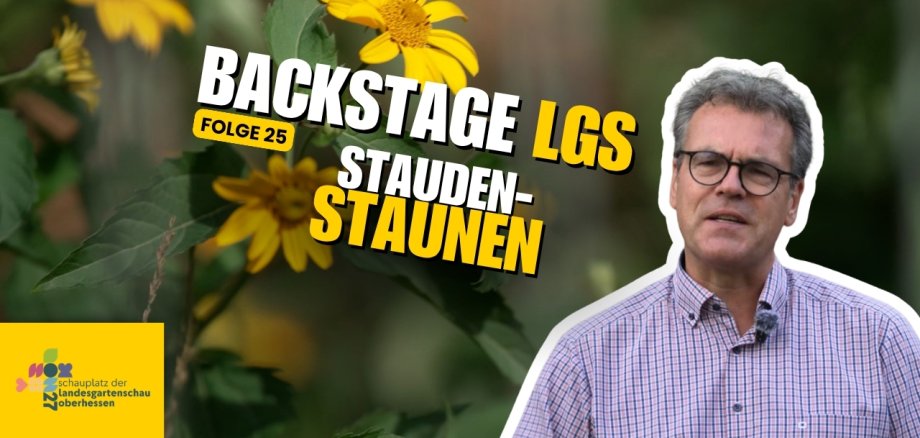 YouTube Titelbild - LGS Backstage - 26 LGS Backstage Folge 25