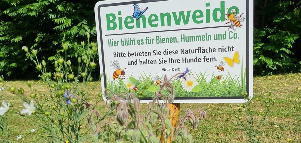 Foto Bienenweide