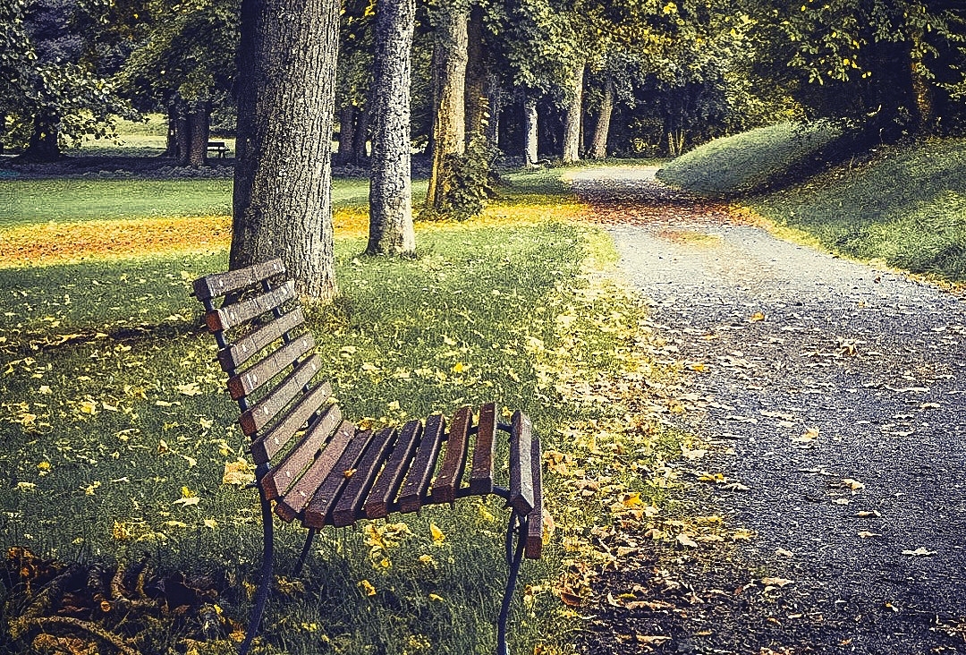 Foto einer Parkbank in Bad Salzhausen