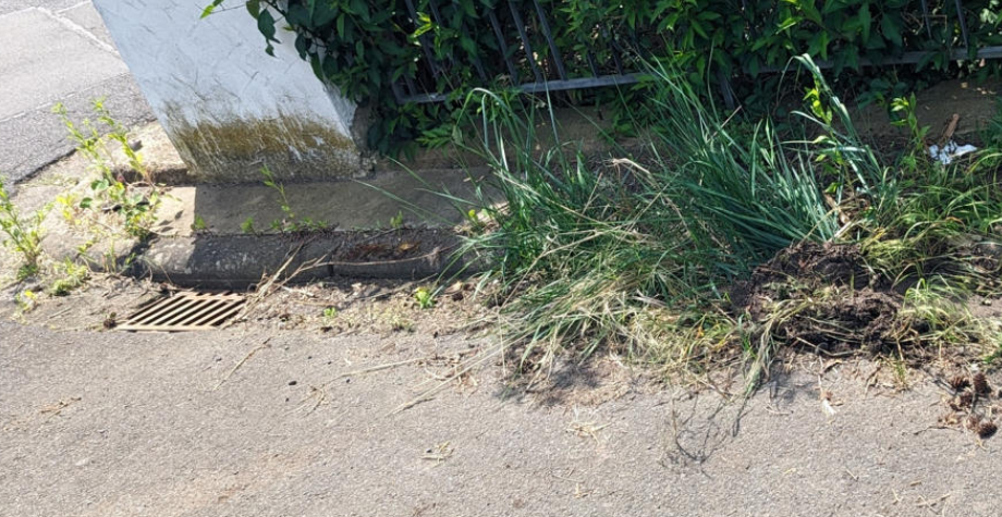 Foto von nicht gereinigter Straße