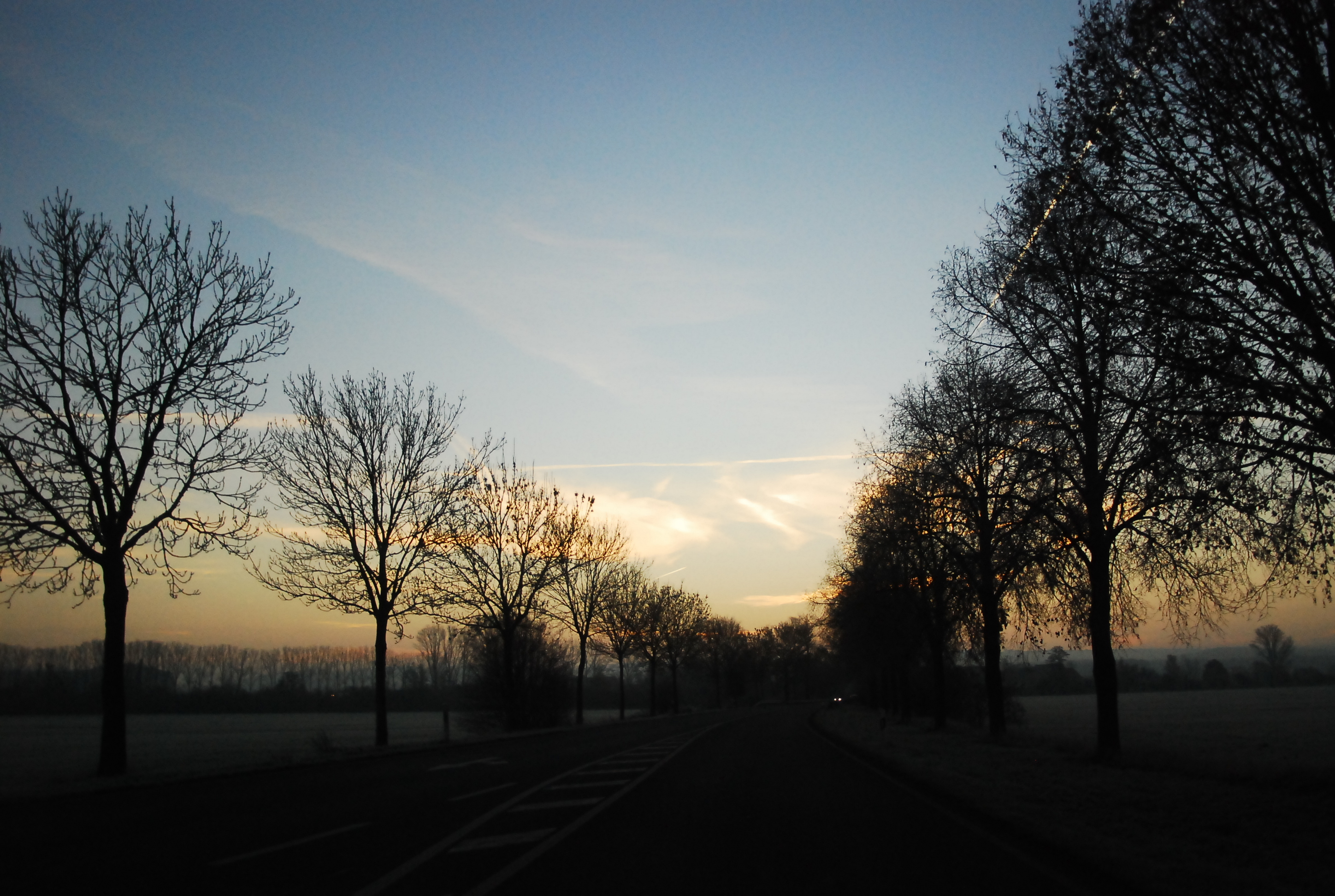 Foto Herbstliche Bäume
