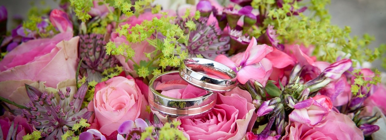 Foto Trauringe auf Rosen