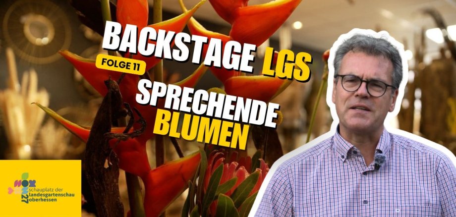 YouTube Titelbild - LGS Backstage - 11 YouTube Titelbild - LGS Backstage - 11