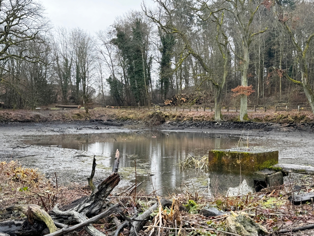 Foto Landgrafenteich vor der Sanierung