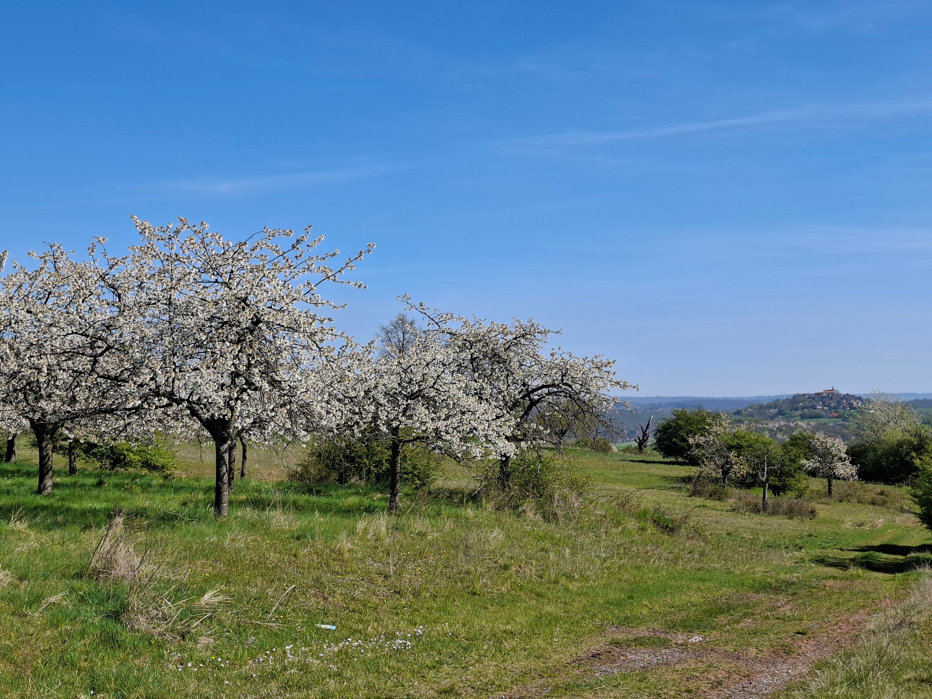 Foto Streuobstwiese