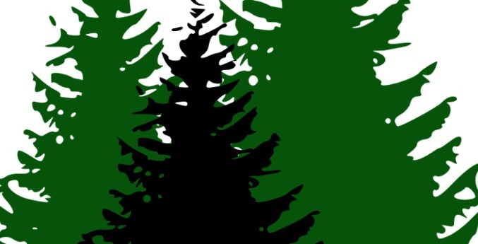 Weihnachtsbäume-Grafik