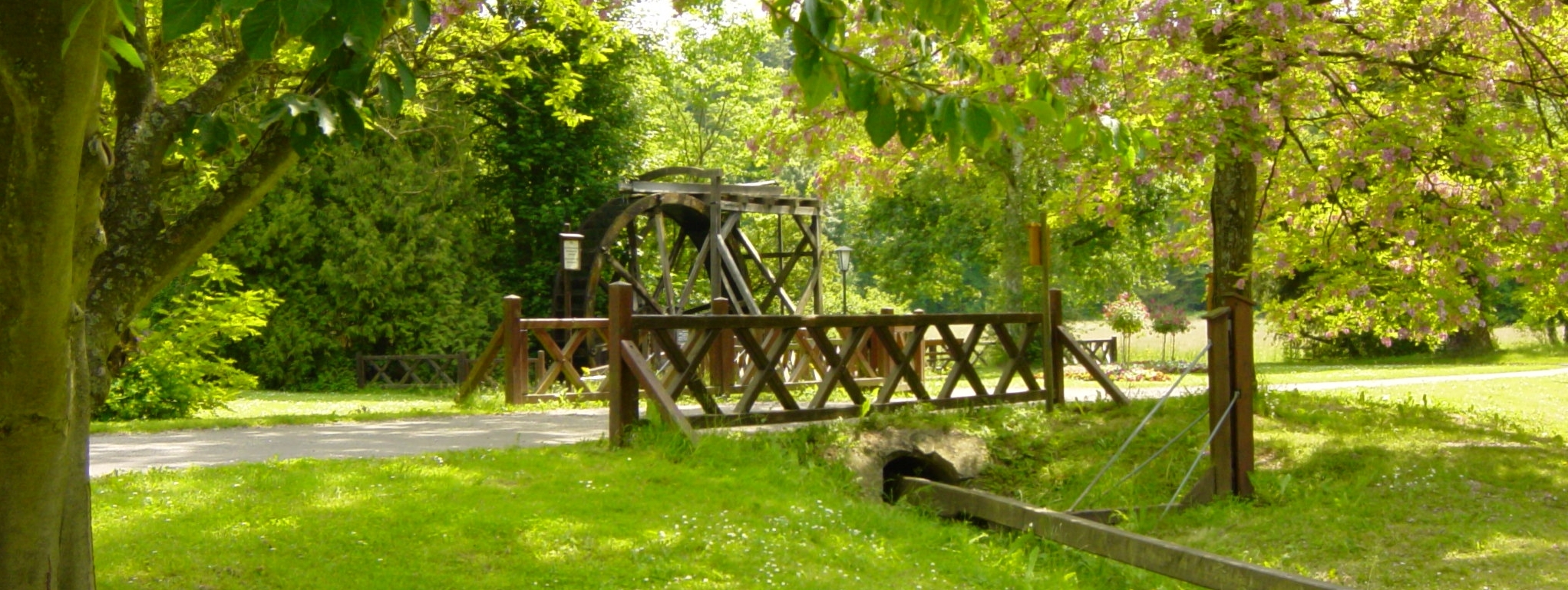Kurpark Bad Salzhausen - Foto