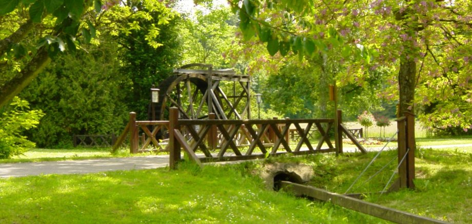 Kurpark Bad Salzhausen - Foto