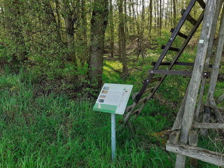 Foto: Station 10 mit Blick in die Lehmkaute