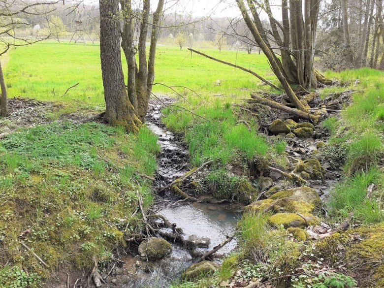 Foto: Quellgebiet im Eichelbachtal