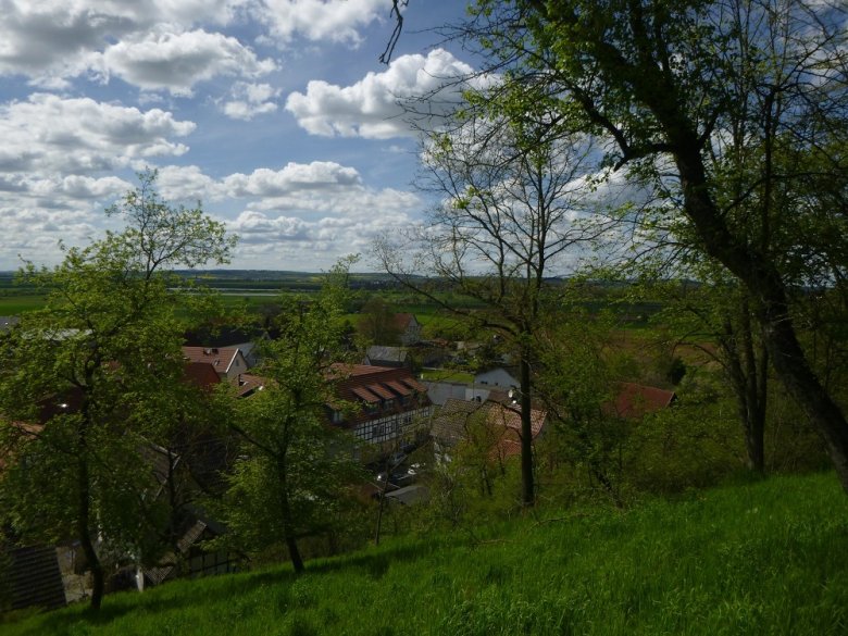 Foto: Panorama Teil 2 mit Münzenberger Rücken