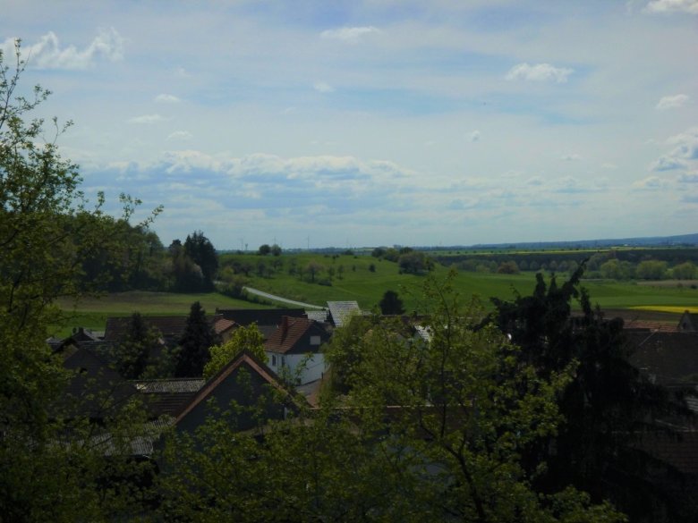 Foto: Der Hügel der "Burg" 