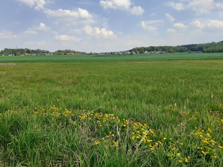 Foto: Das Dorf Unter-Widdersheim in der Landschaft