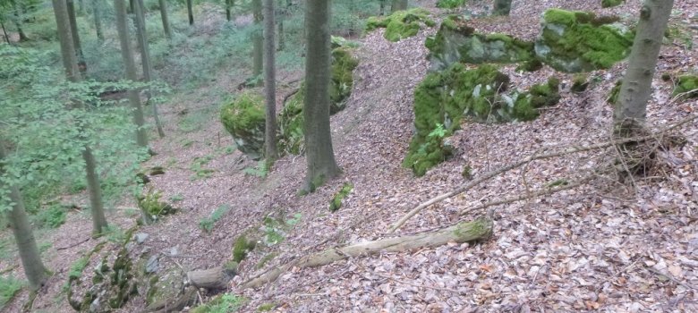 Foto: Felsen im Tal am Häuserhof