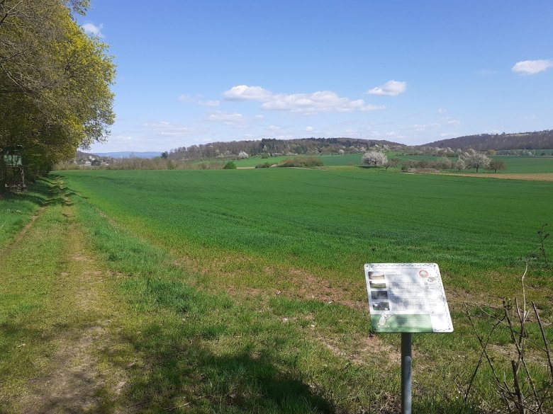 Foto: Blick Richtung Hoherodskopf und Tal am Häuserhof