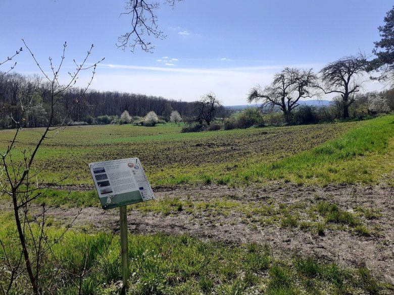 Foto: Station 29 mit Blick Richtung Taunus