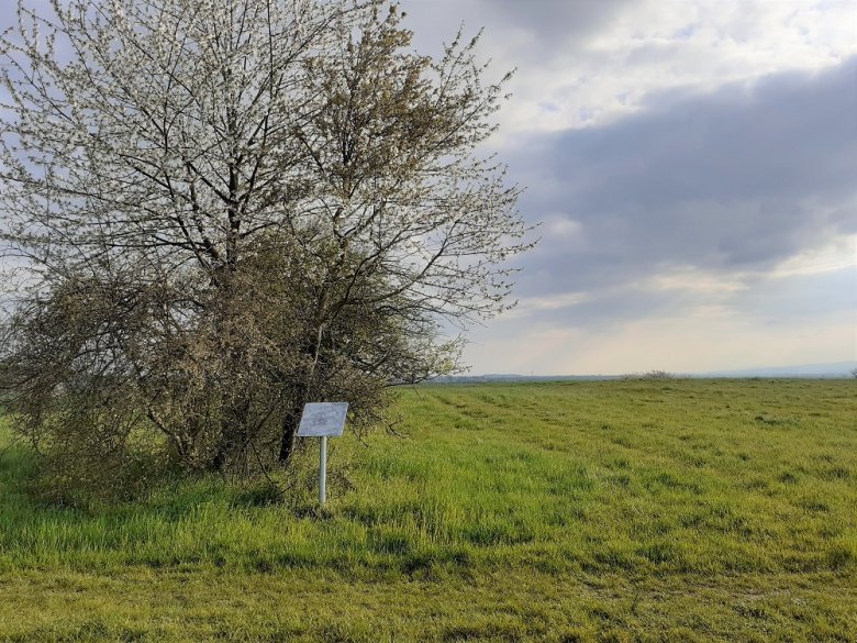 Foto: Station 24 mit Blick zum früheren Standort des Kleinkastels