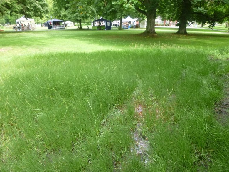 Foto: Salzquelle im Kurpark Bad Salzhausen