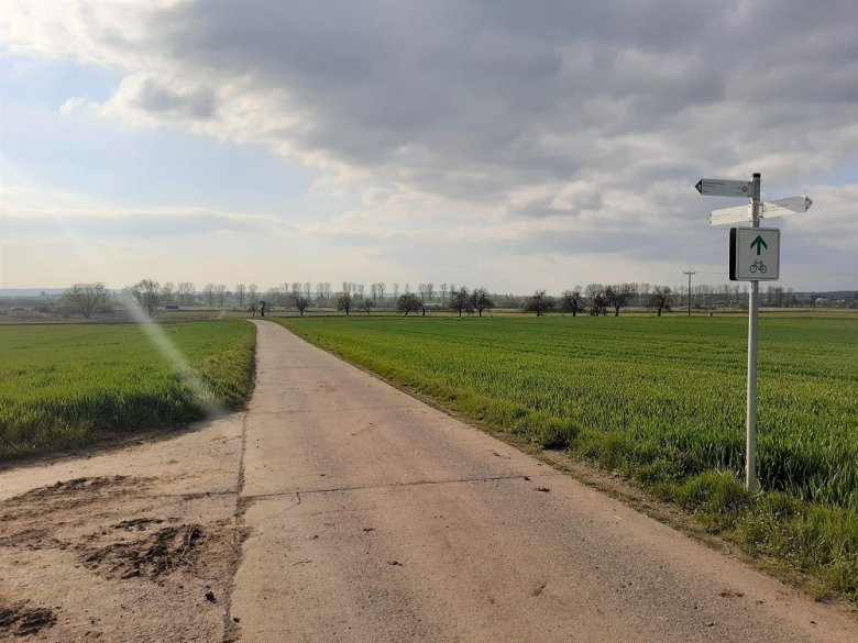 Foto: Station 27 mit Blick vom Abzweig zum Vogel-Beobachtungsstand