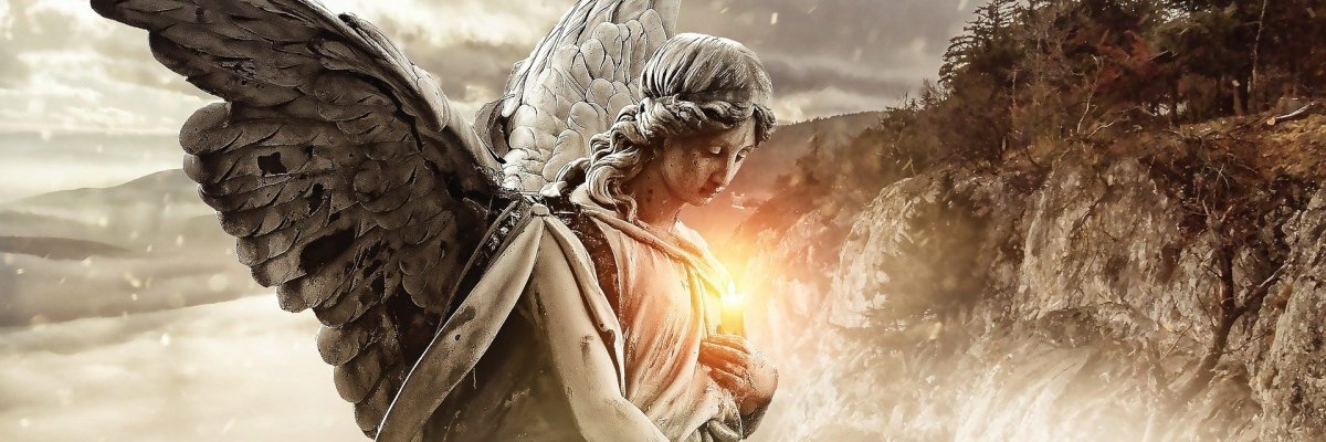 Foto Blumen und Trauringe