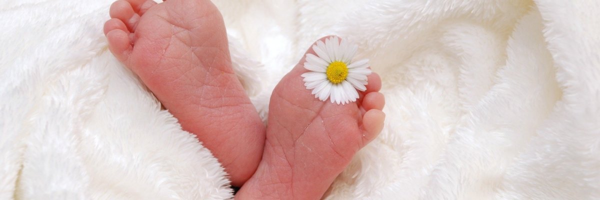 Foto Blumen und Trauringe